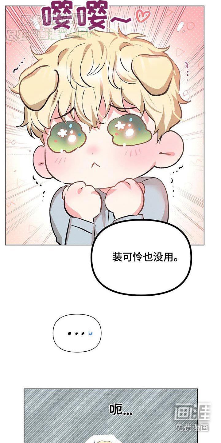 第65章：怎么做到的