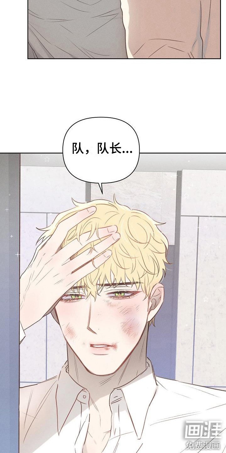 第7章：伤痕累累