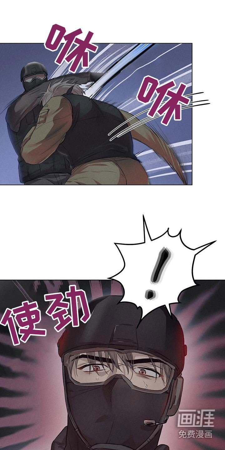 第73章：就是现在