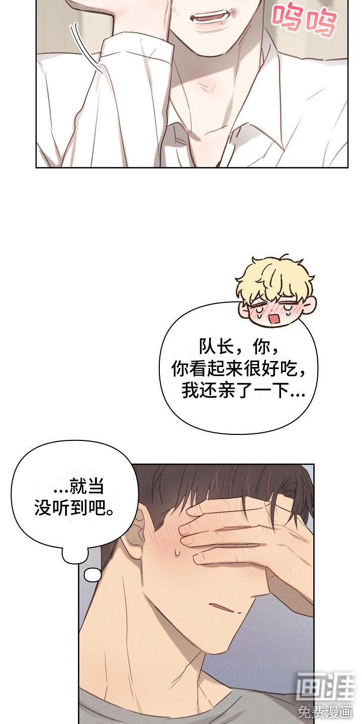 第8章：解释