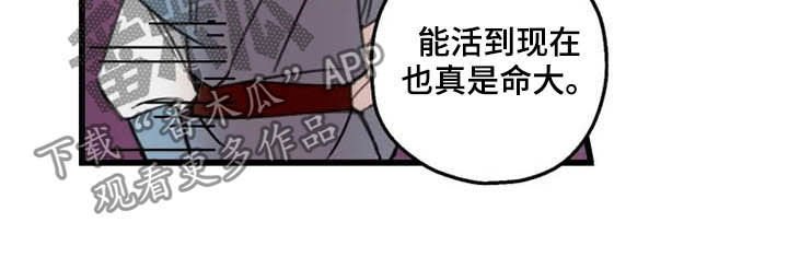 第30章：打击