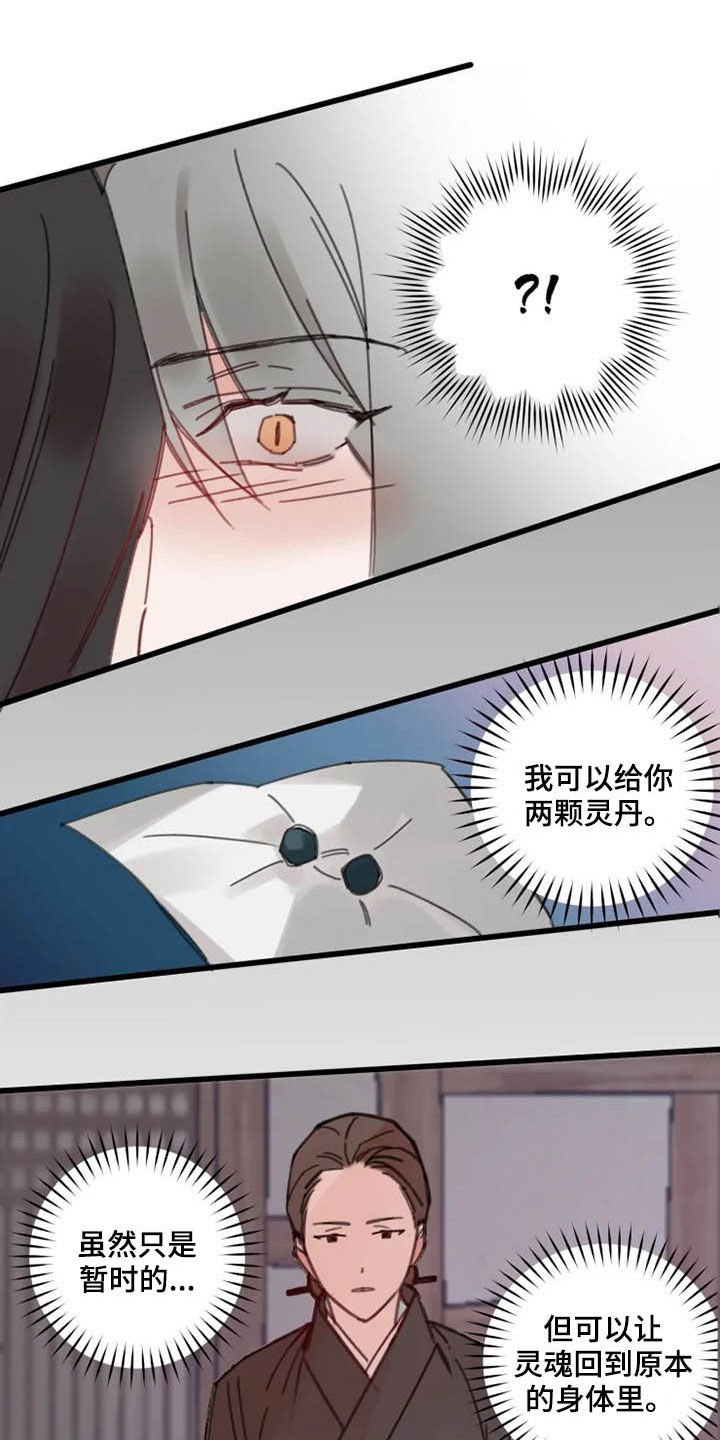 第35章：灵丹