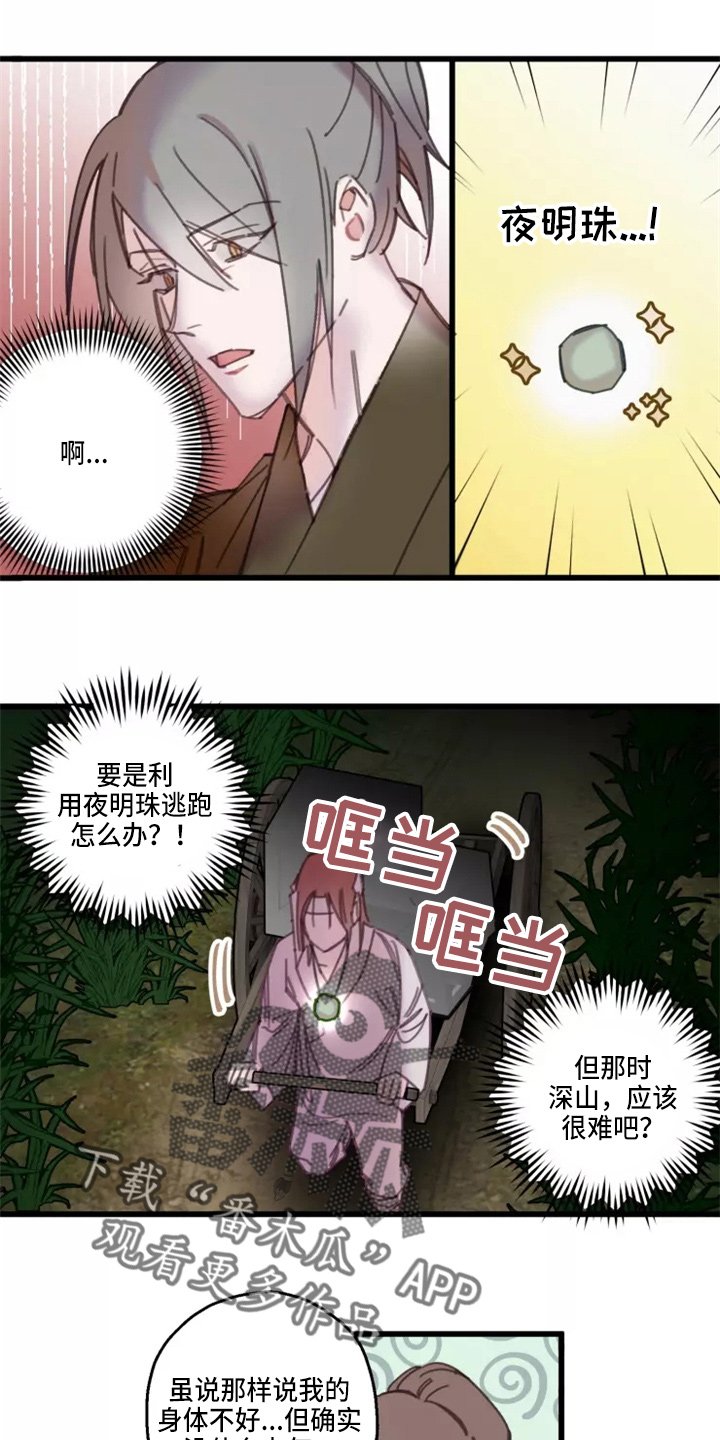 第41章：夜明珠