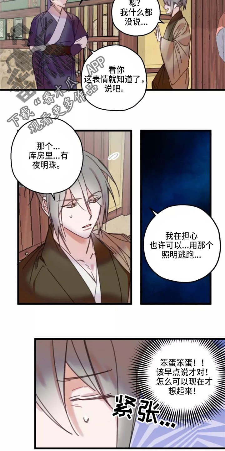 第41章：夜明珠