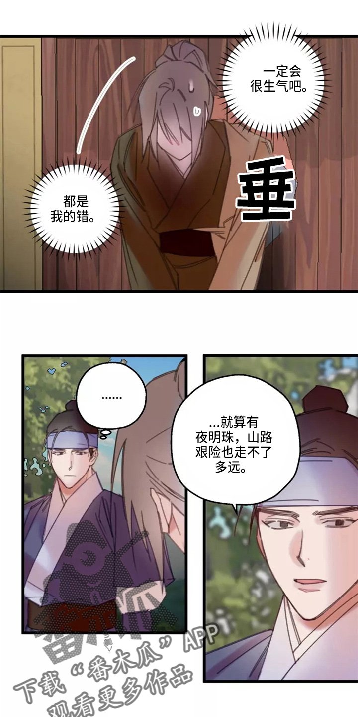 第41章：夜明珠