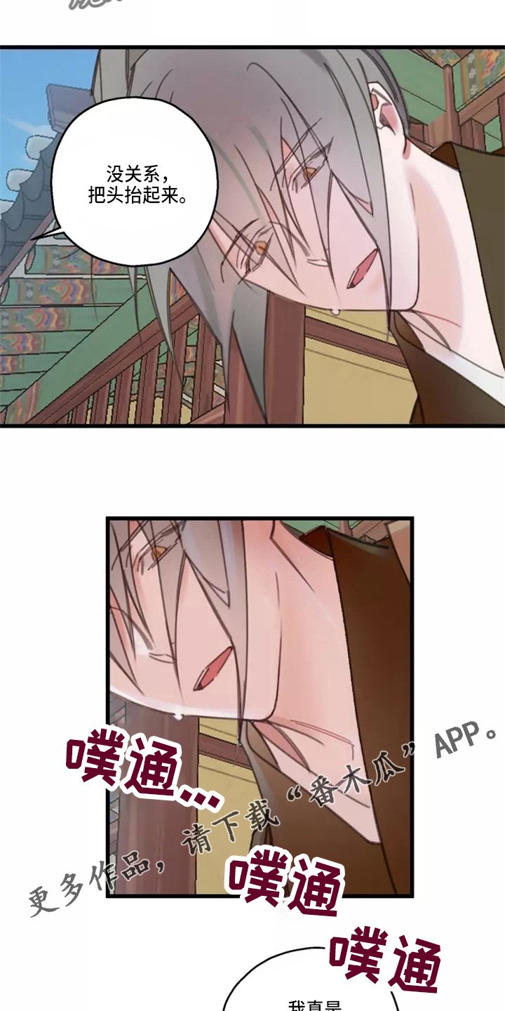 第41章：夜明珠