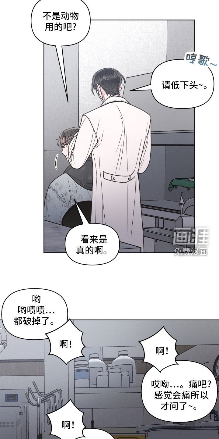 第80章：【第二季】动物医院