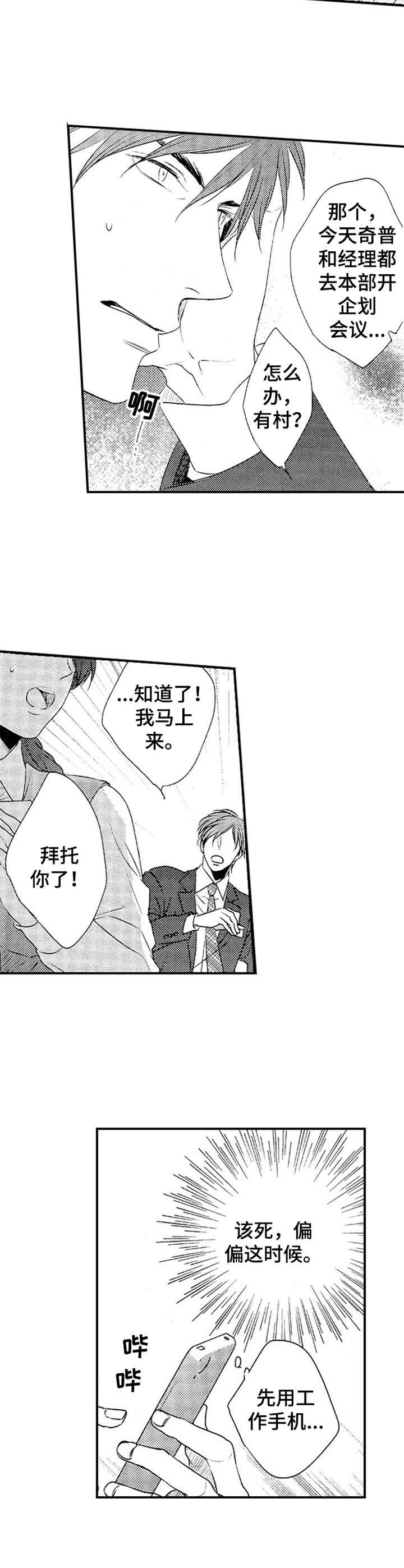 第9章：放鸽子