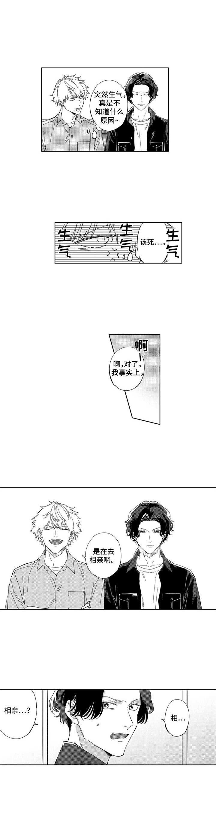 第17章：相亲