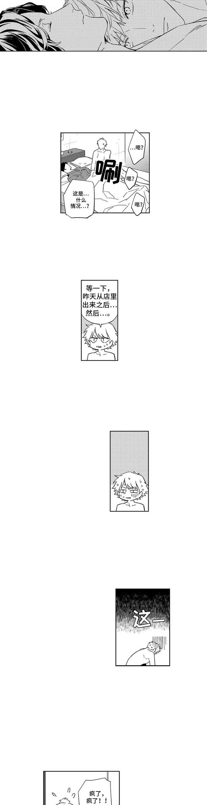 第6章：匹配结果