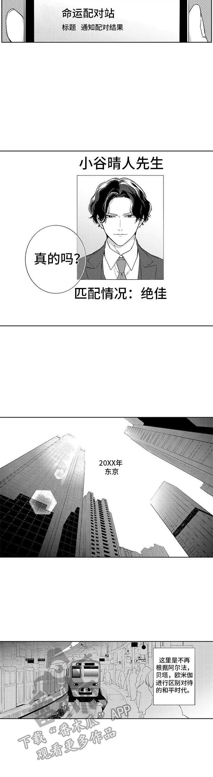 第6章：匹配结果
