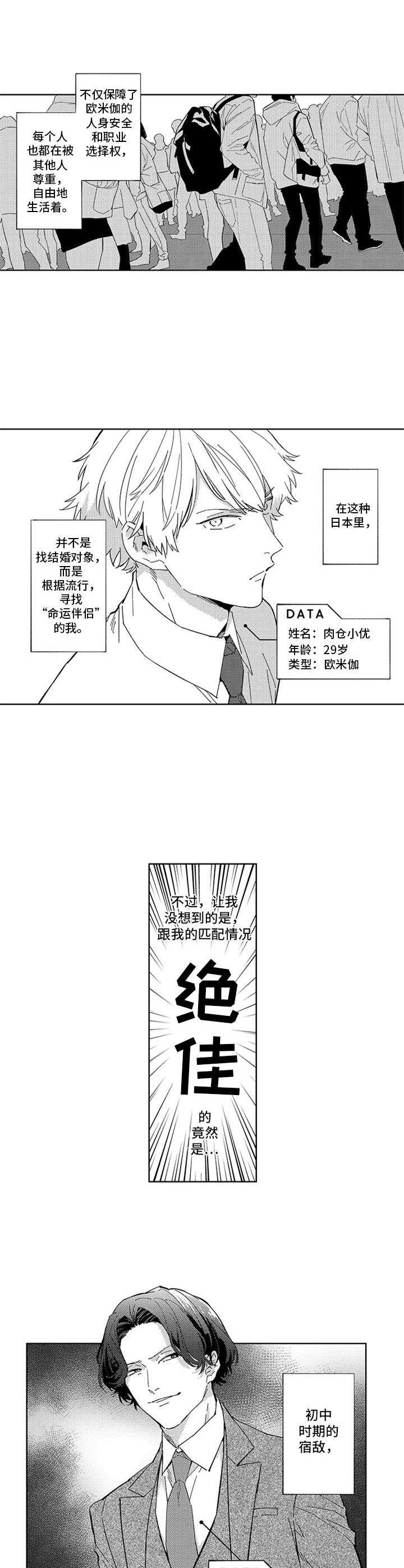 第6章：匹配结果
