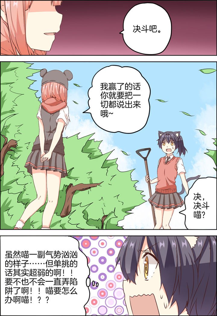 第12章：