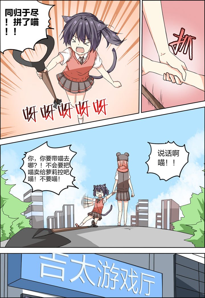 第12章：