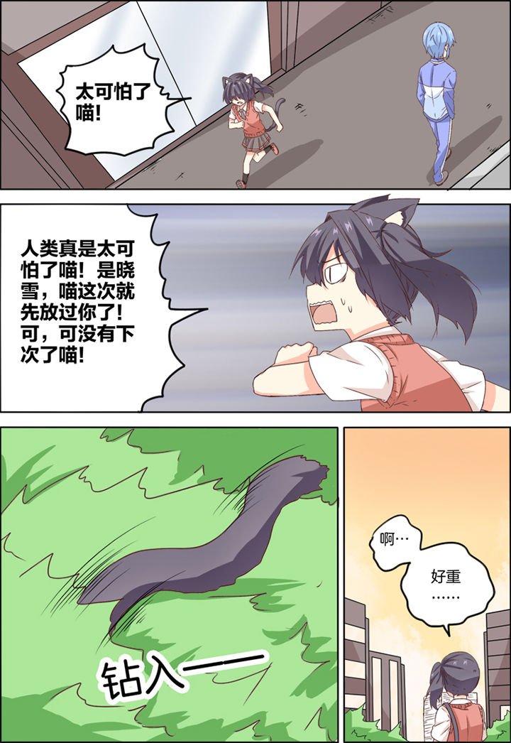 第13章：