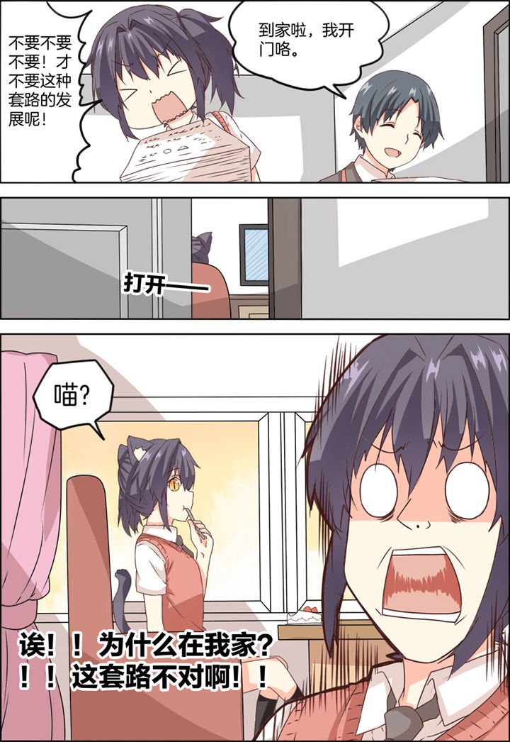 第13章：