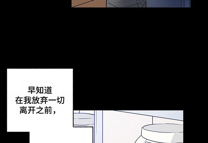 第17章：解释