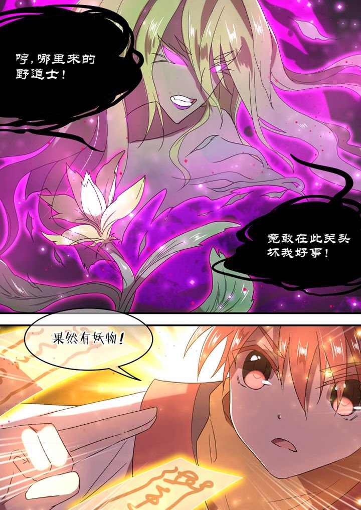 第12章：