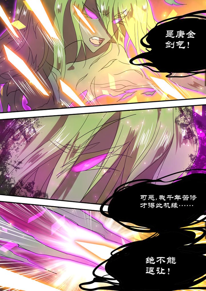 第12章：