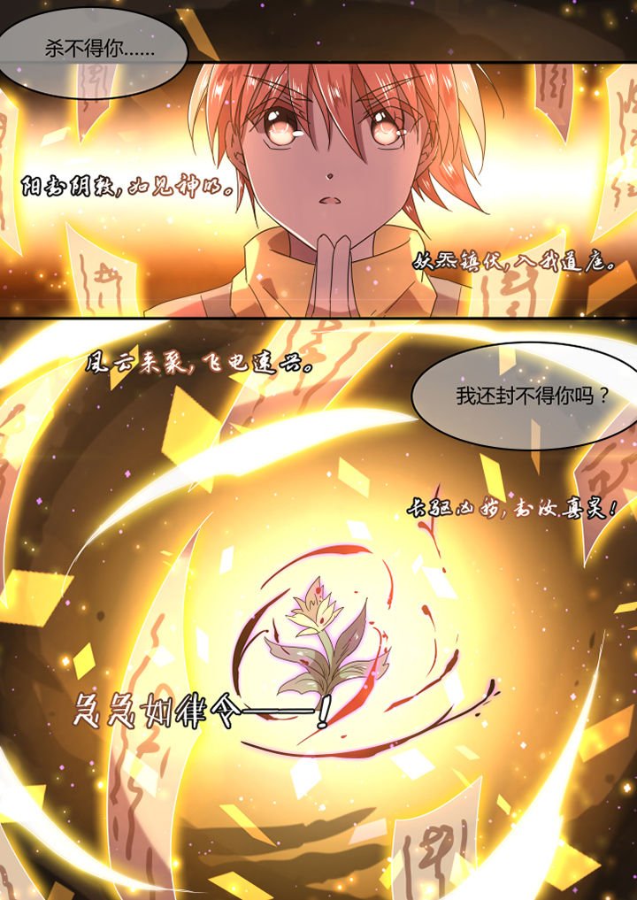 第13章：