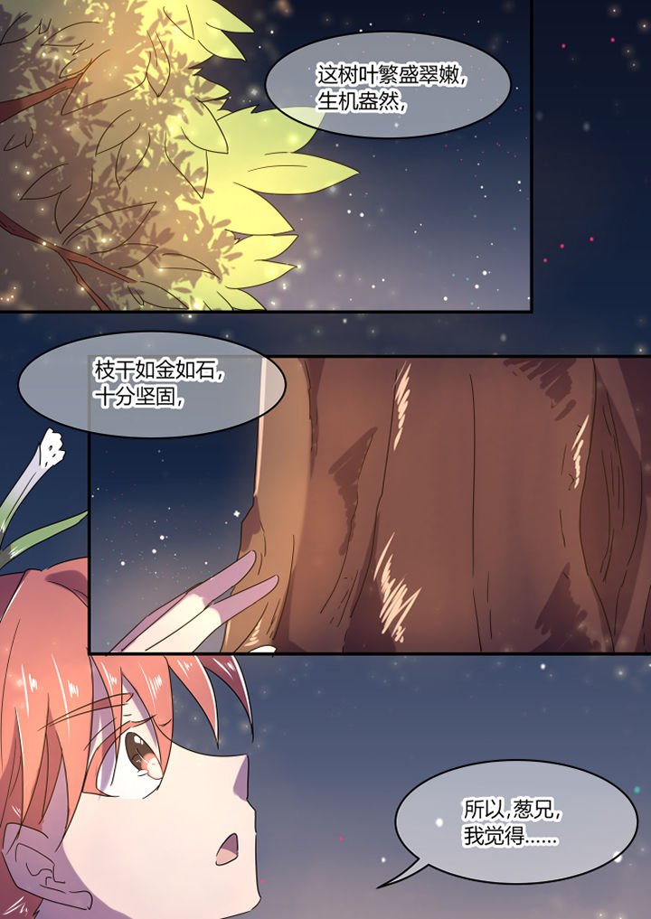 第17章：