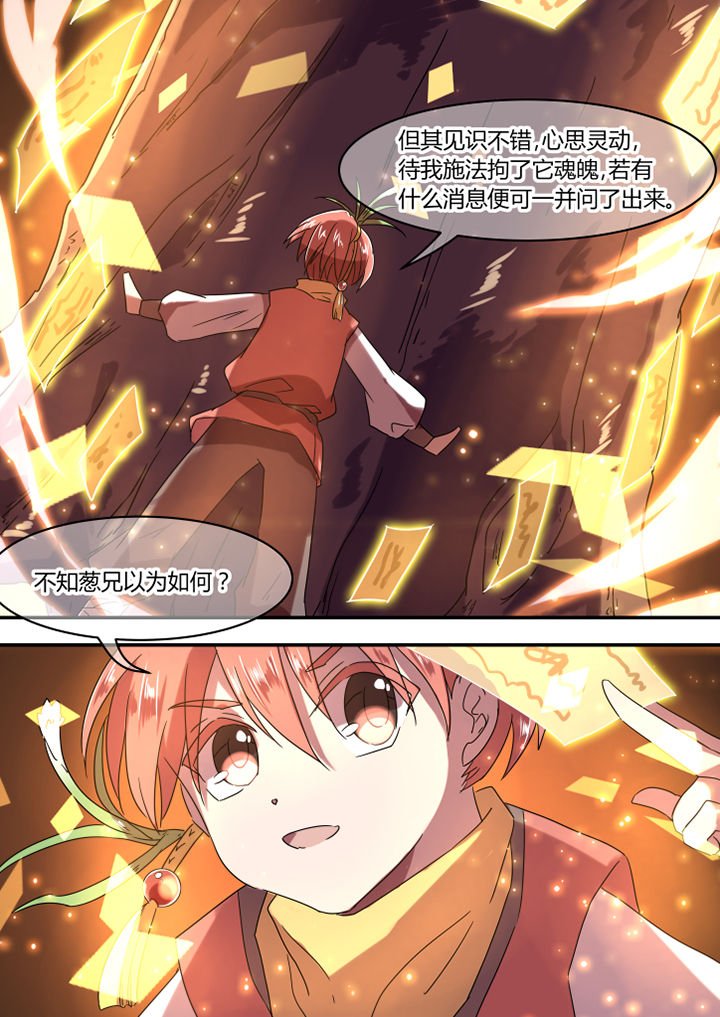 第17章：