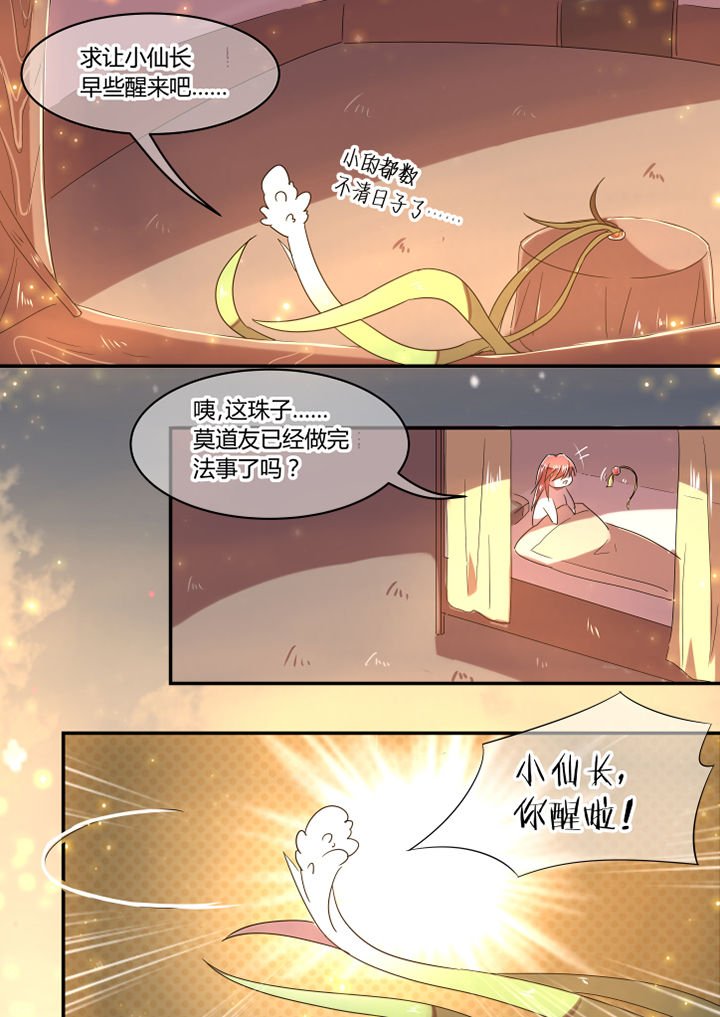 第41章：