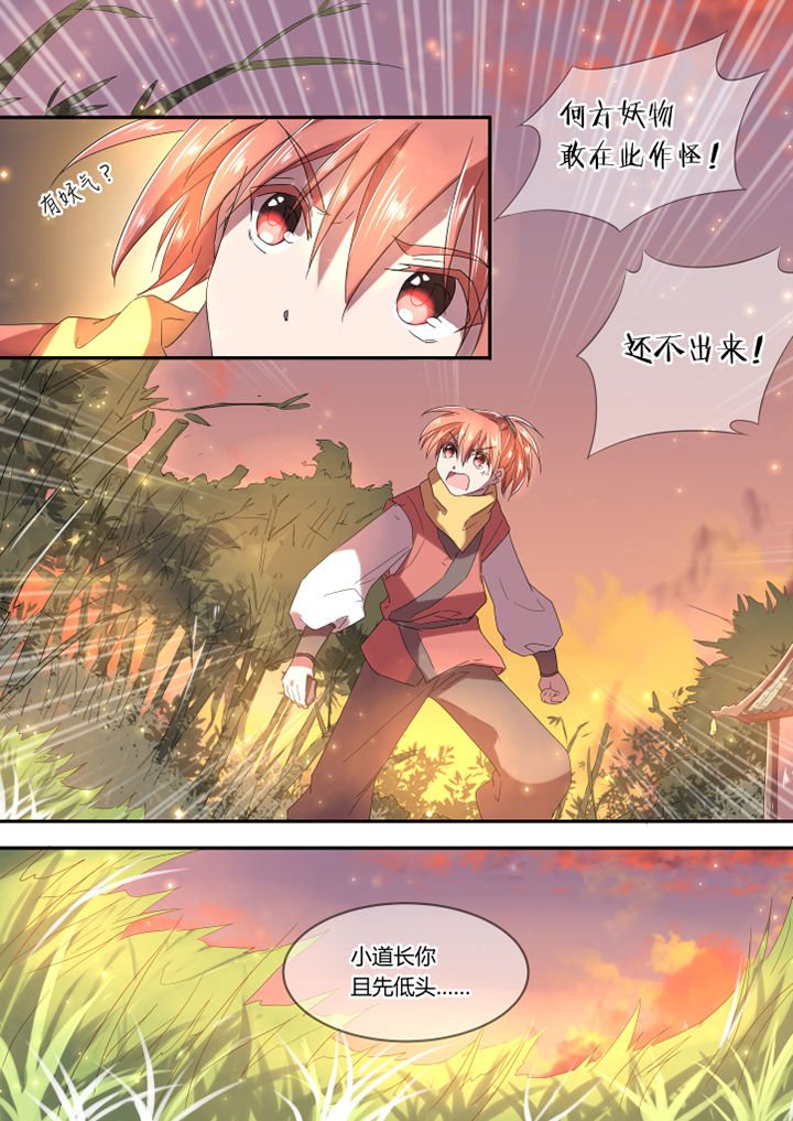 第5章：