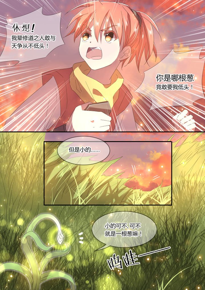 第5章：