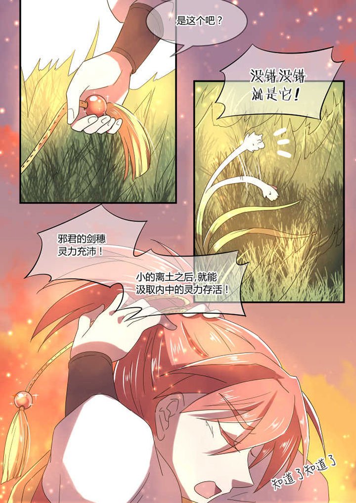 第8章：