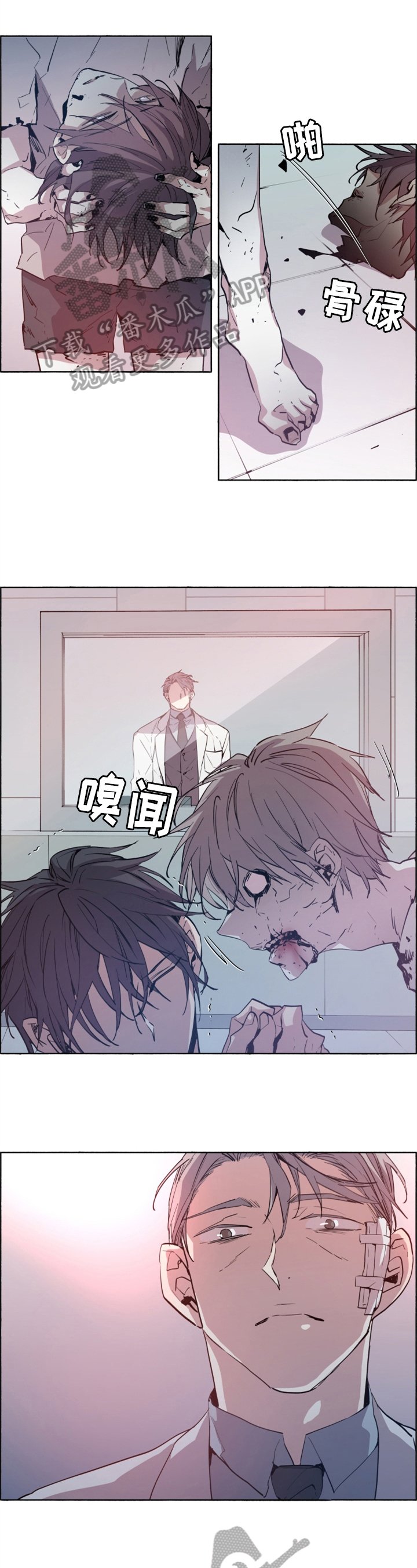 第21章：实验