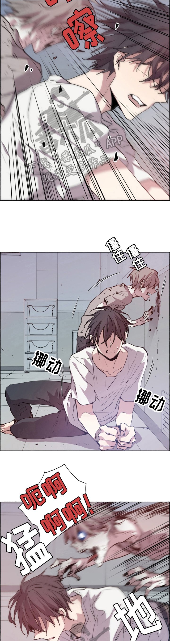 第21章：实验