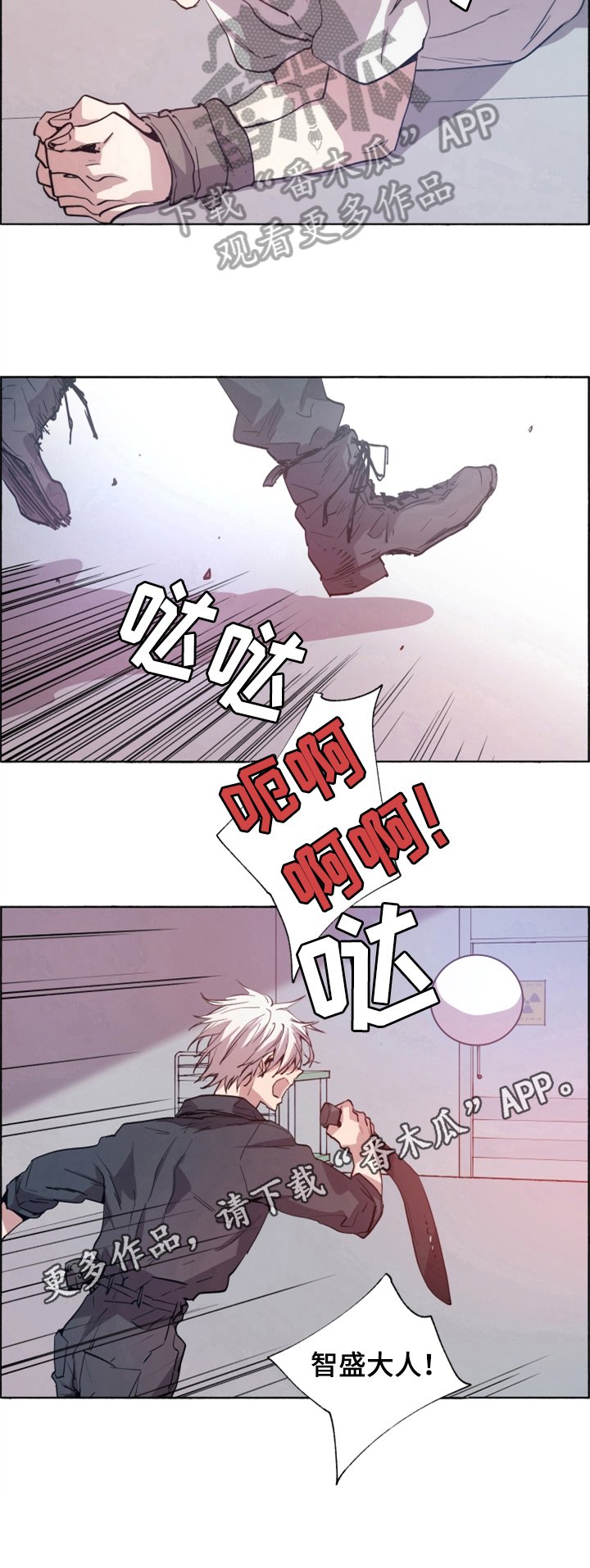 第21章：实验