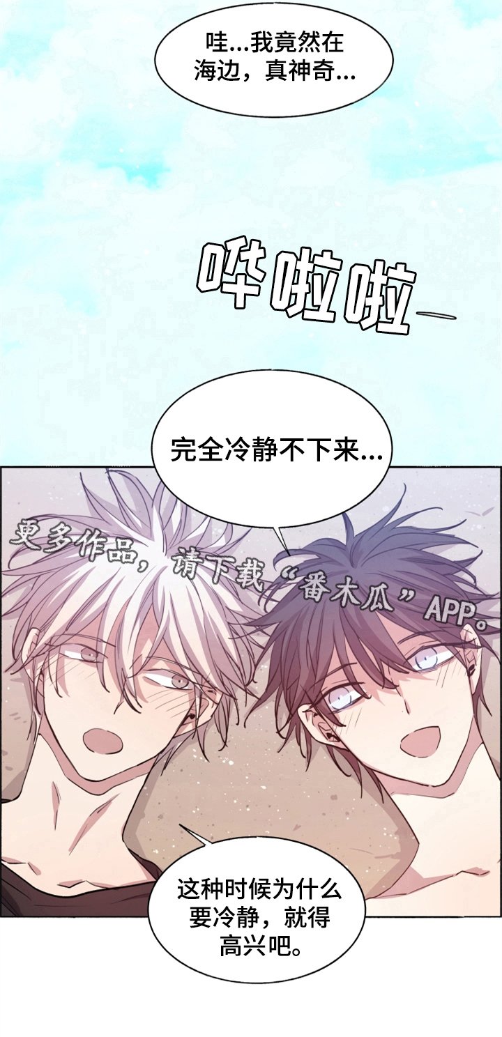 第28章：选择