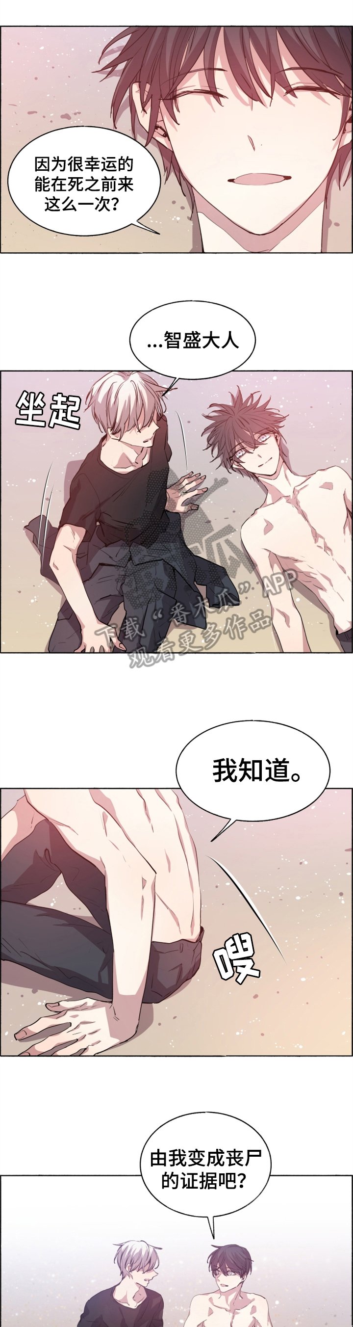 第28章：选择