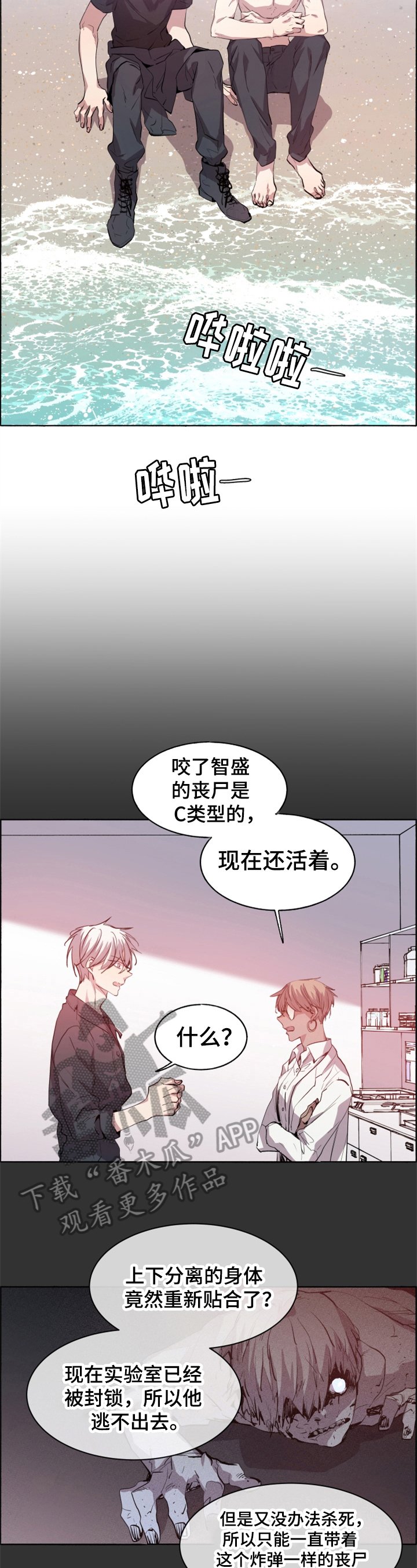 第28章：选择