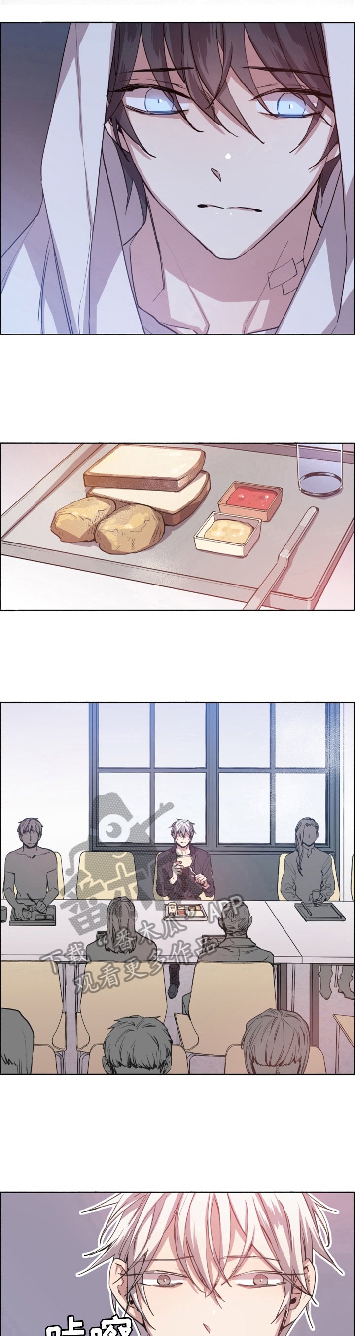 第6章：采血