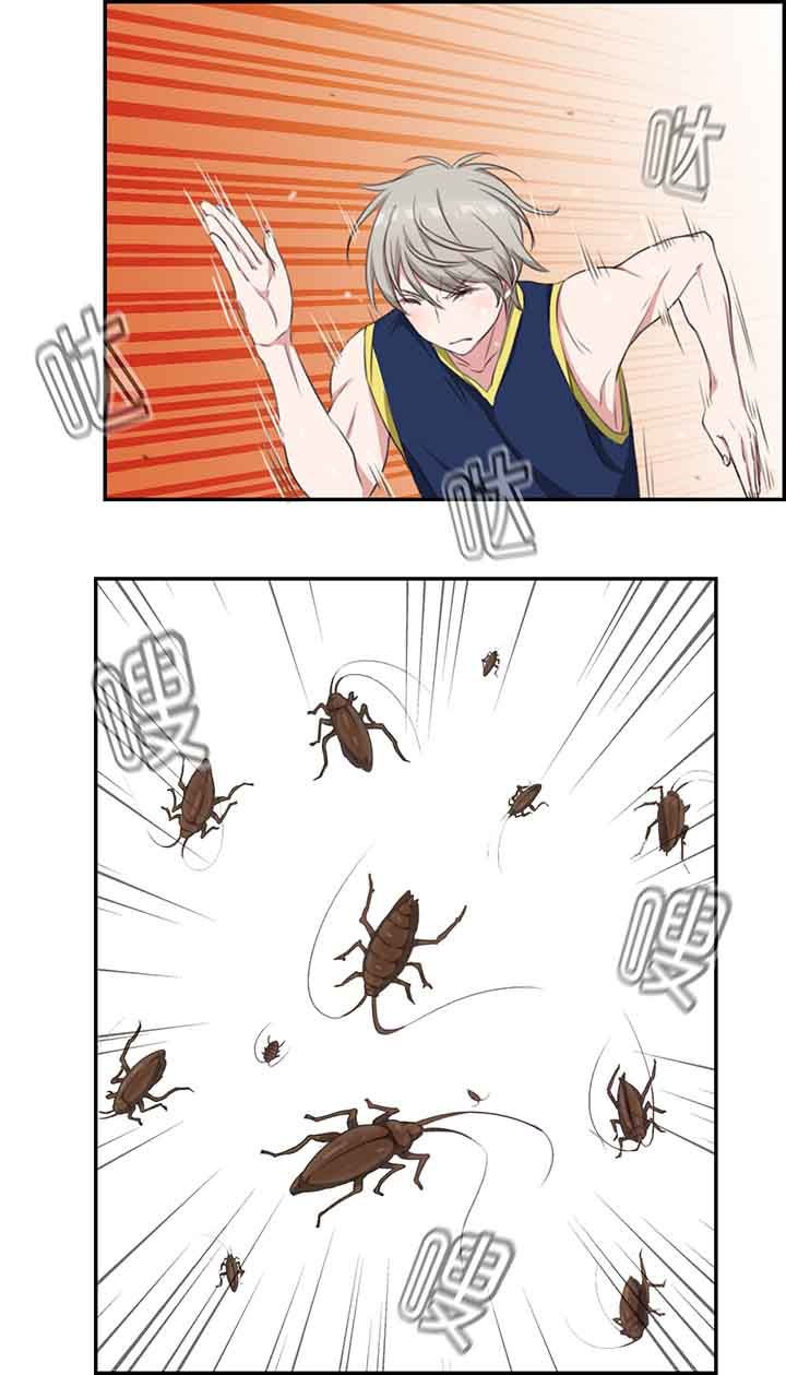 第15章：