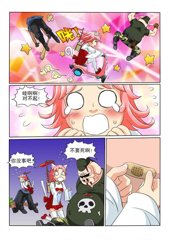 第30章：迷猫