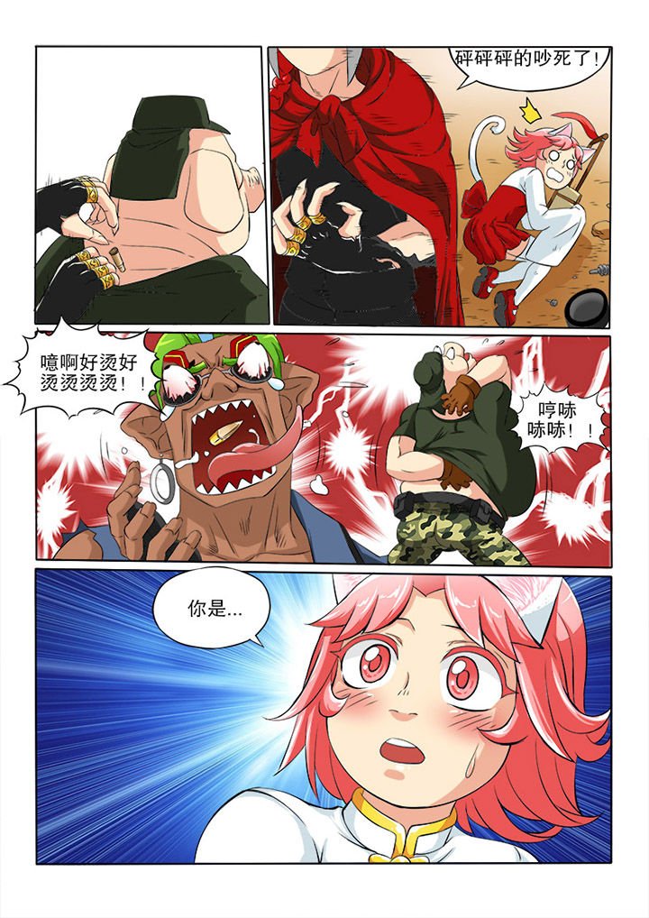 第30章：迷猫