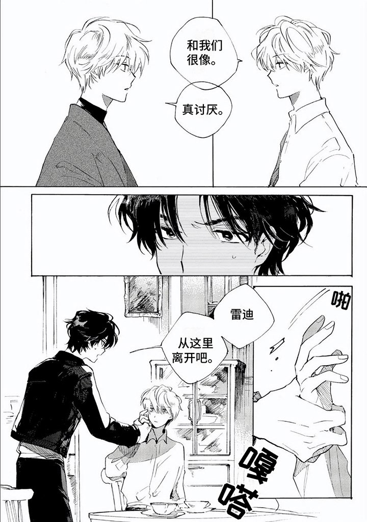第13章：想法