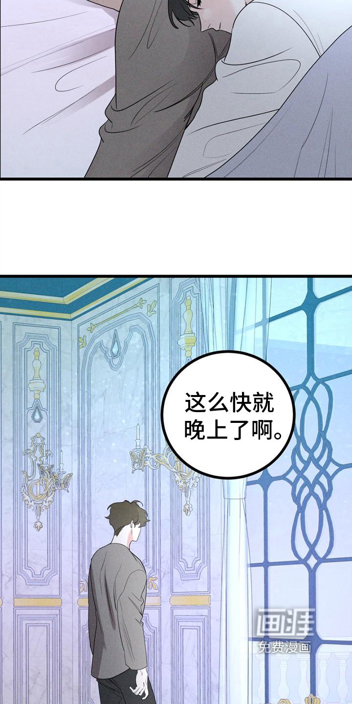 第11章：迷茫