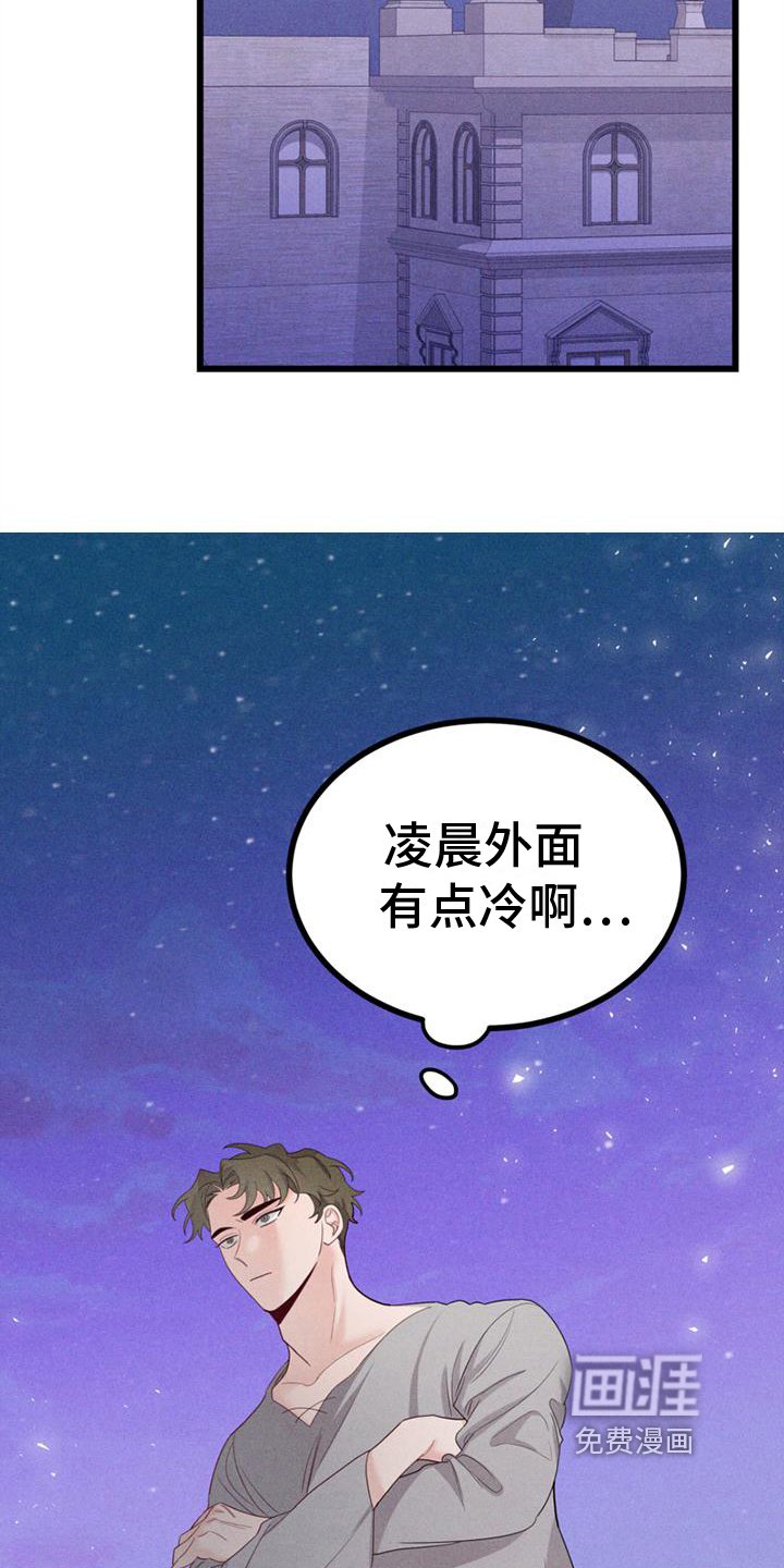 第11章：迷茫