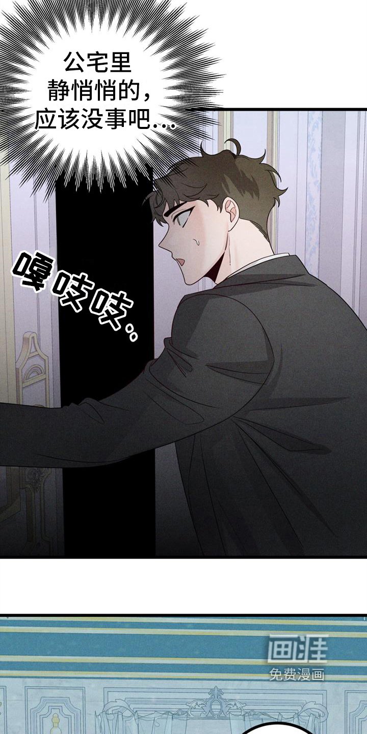第15章：不后悔【完结】