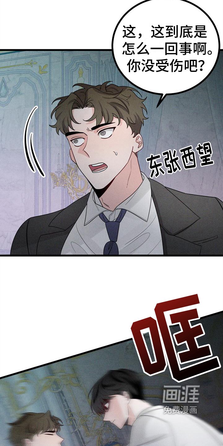 第15章：不后悔【完结】