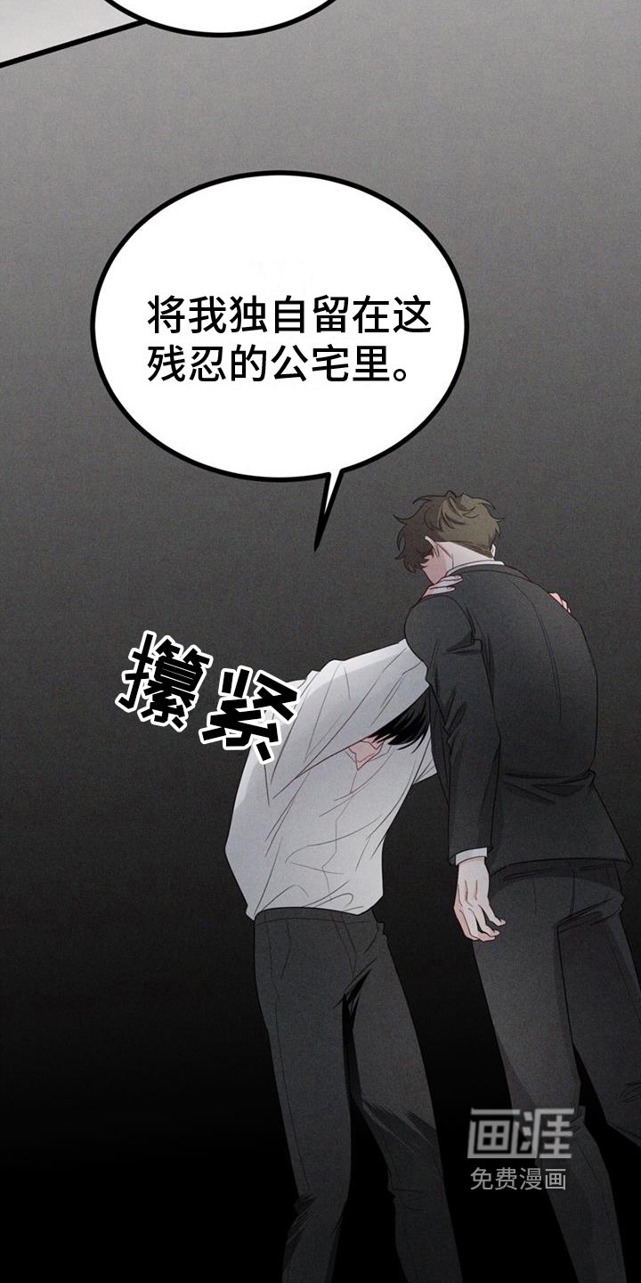 第15章：不后悔【完结】