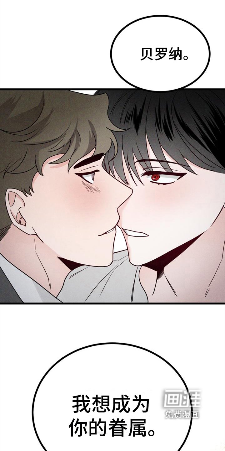 第15章：不后悔【完结】