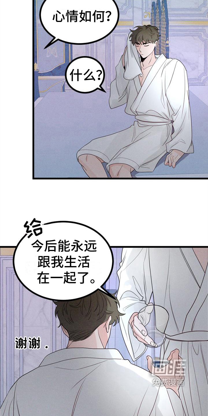 第15章：不后悔【完结】