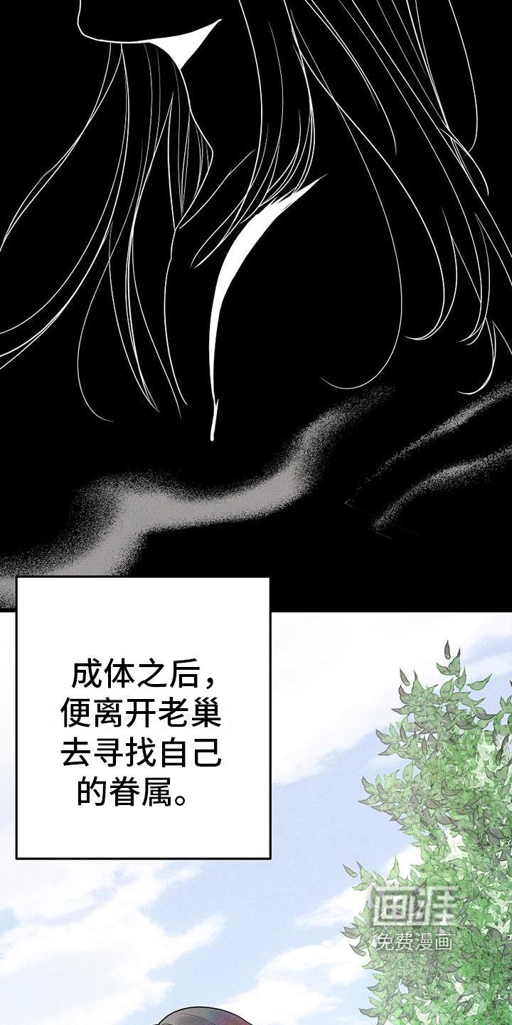 第4章：吸血鬼