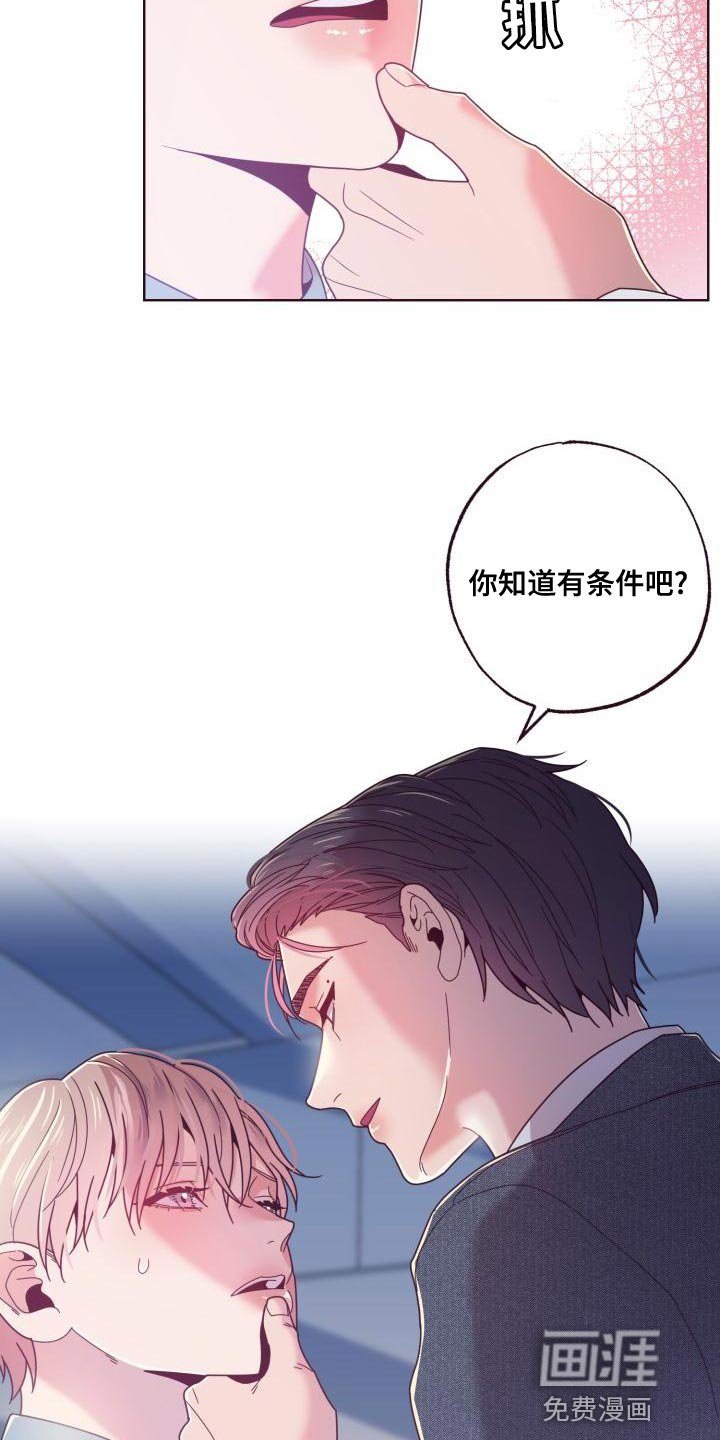 第21章：条件